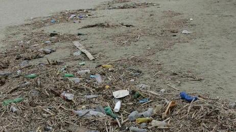 Sos lavarone in spiaggia Sarà rimosso solo venerdì