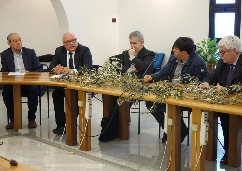 In Piazza San Pietro i ramoscelli d’ulivo sardi 