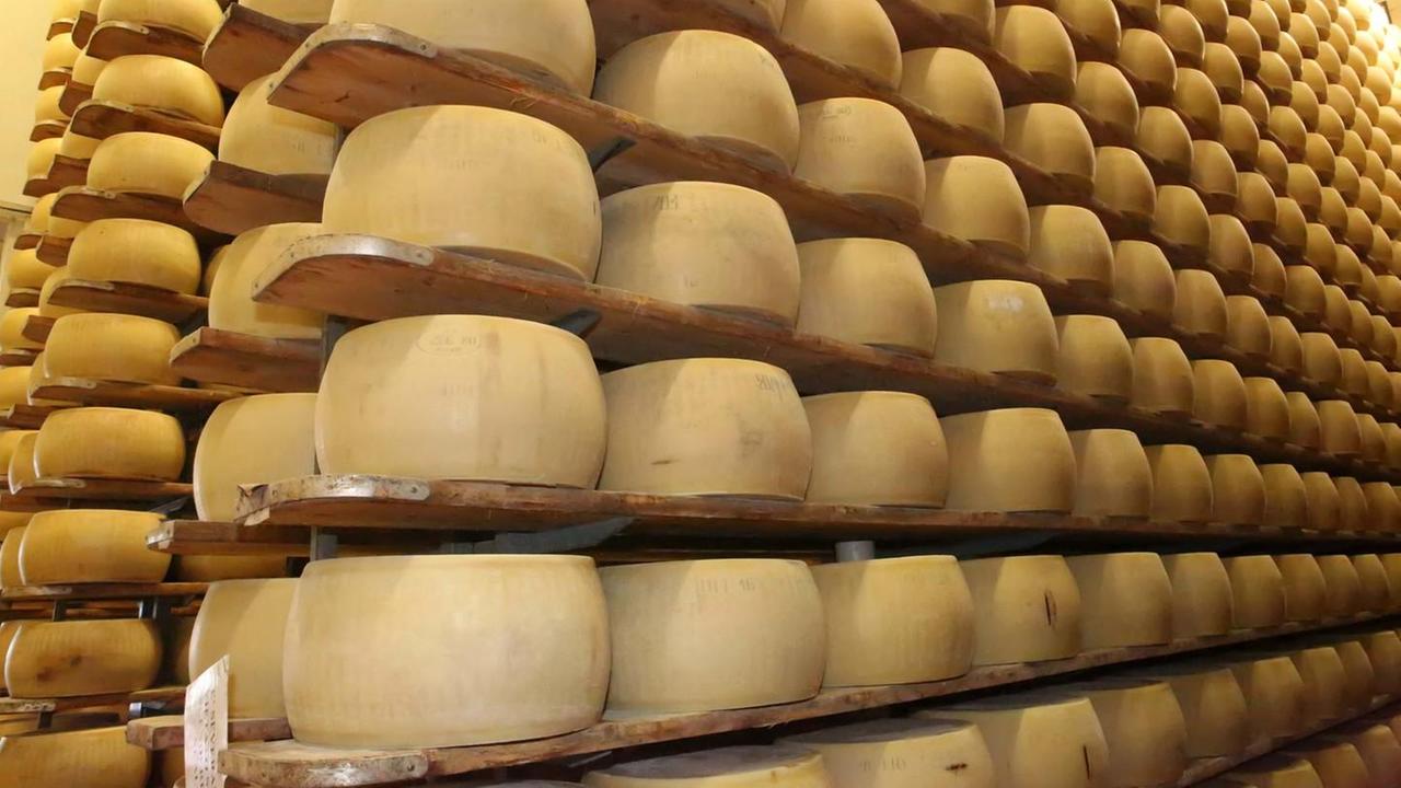 Frode del Parmigiano Reggiano contraffatto, associazione a delinquere per 12