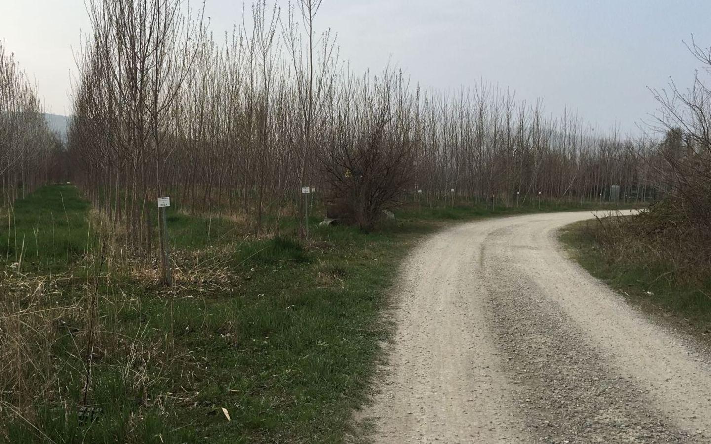 «No ai tir coi fanghi in mezzo ai poderi» 