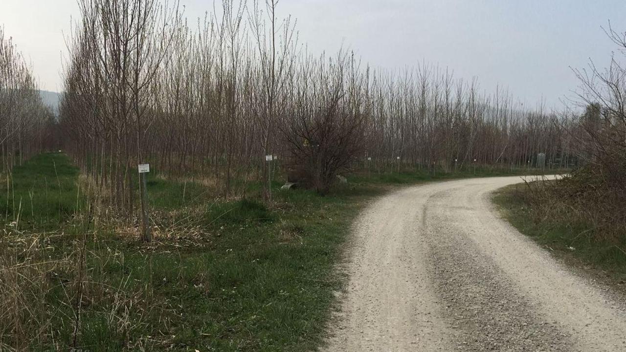 «No ai tir coi fanghi in mezzo ai poderi»