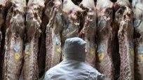 I trucchi di coop spurie e no profit