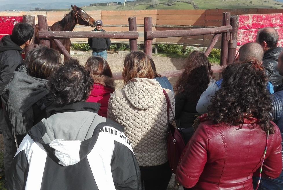 Studenti di Agraria a scuola di “doma”