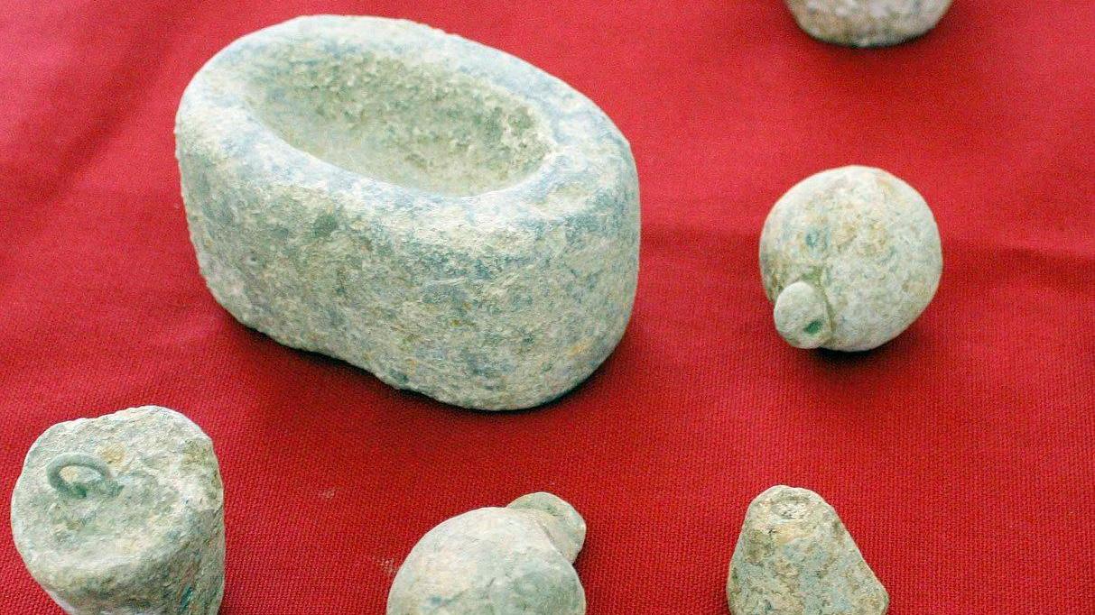 Museo del Delta Antico. L’apertura tra storia ed eventi