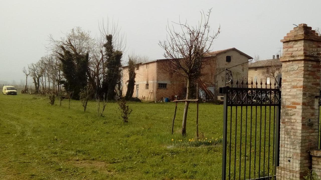 Capanno incendiato, rogo doloso