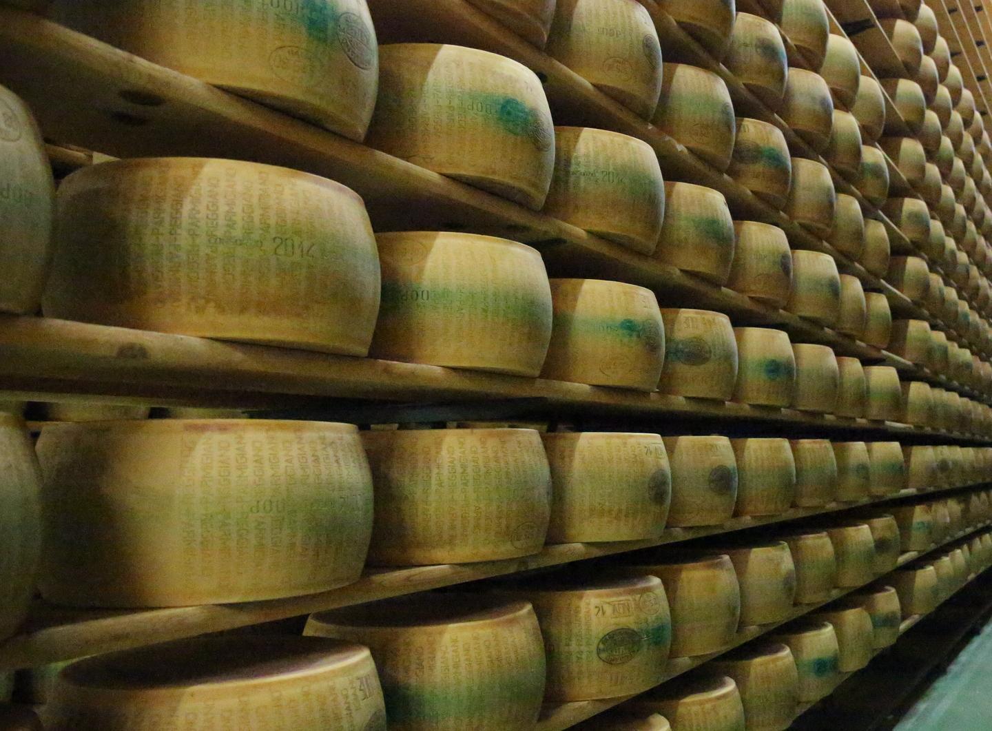 Frode del formaggio La Procura fa ricorso 