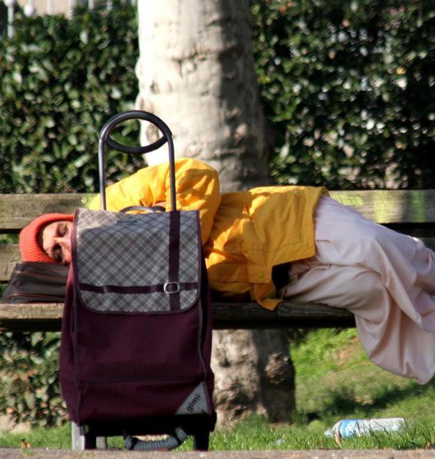 Cibo ai bisognosi Raccolta a scuola 