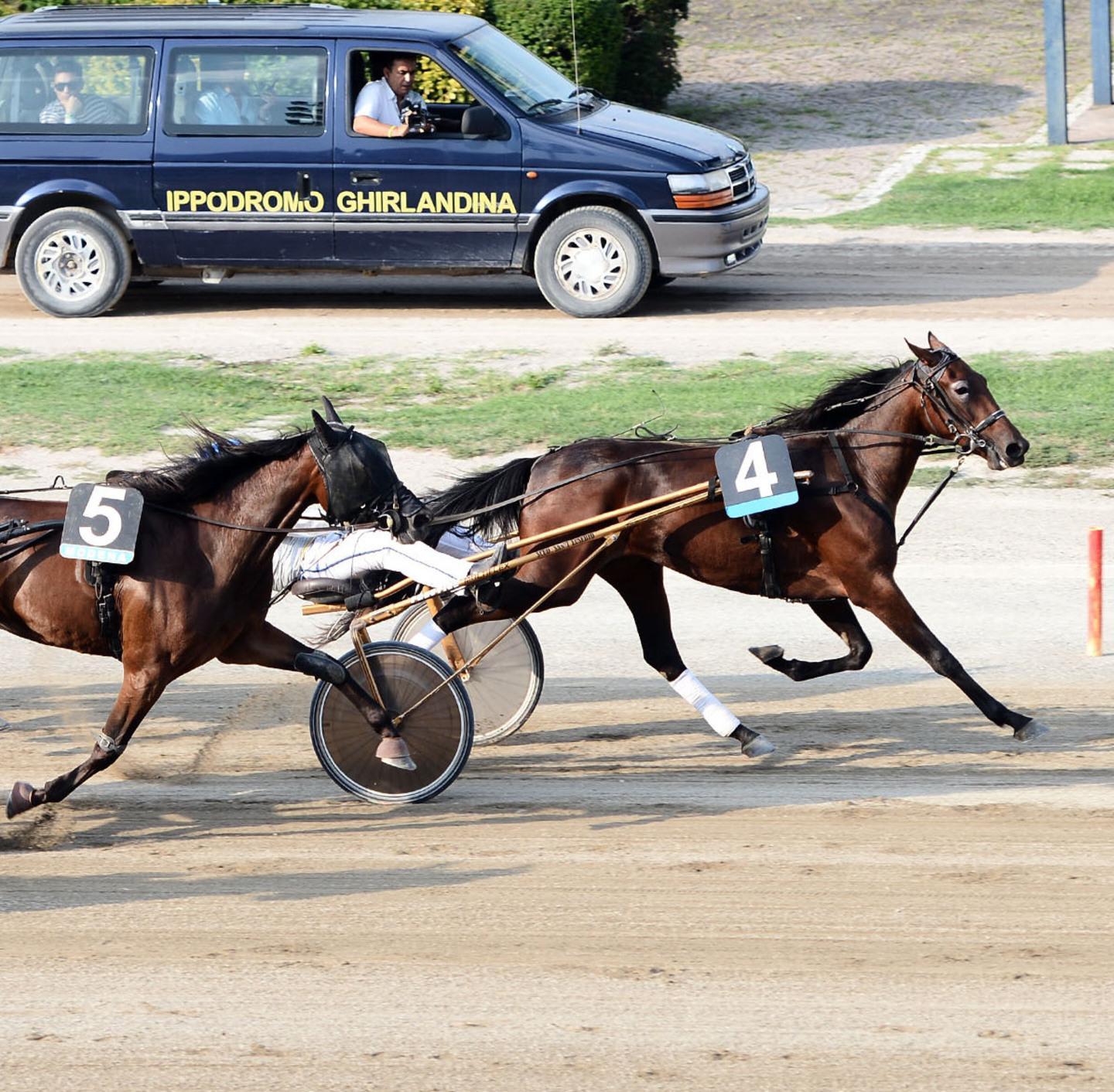 Doping al cavallo prima della gara a Modena