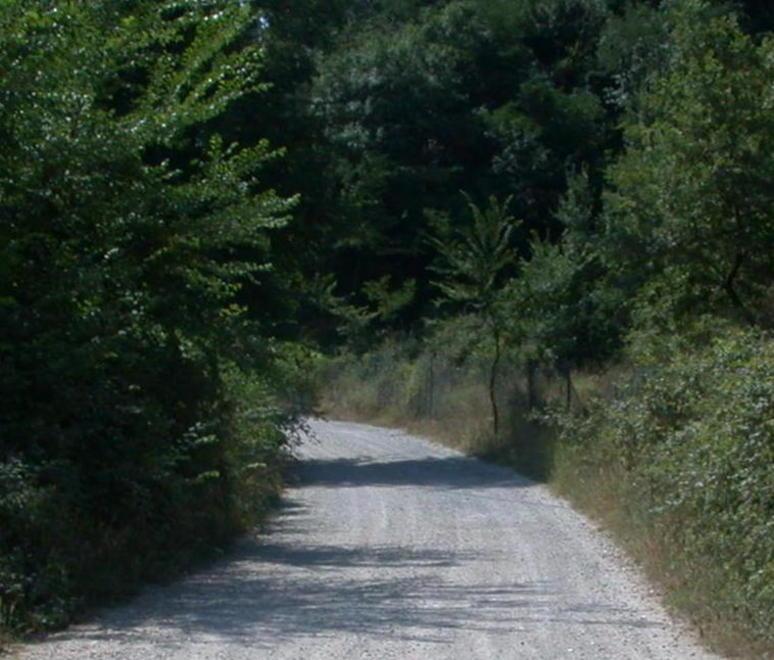 Sistemate le strade bianche della Bonifica