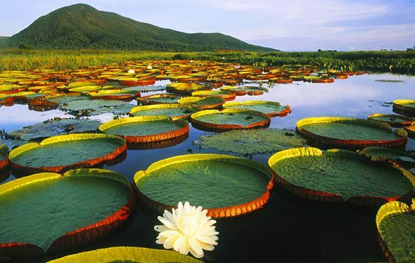 Il viaggio, sogno e stupore La ricetta di “Cartography” 