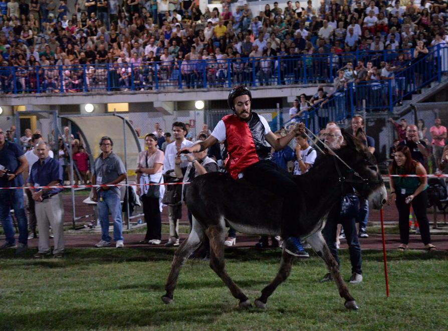 Gli asini restano nella stalla non si fa il Palio de’ Ciui 