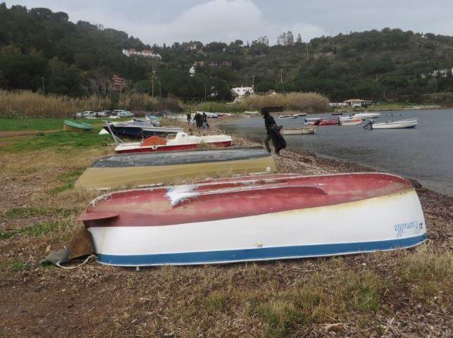 Via le barche abbandonate nella zona umida di Mola