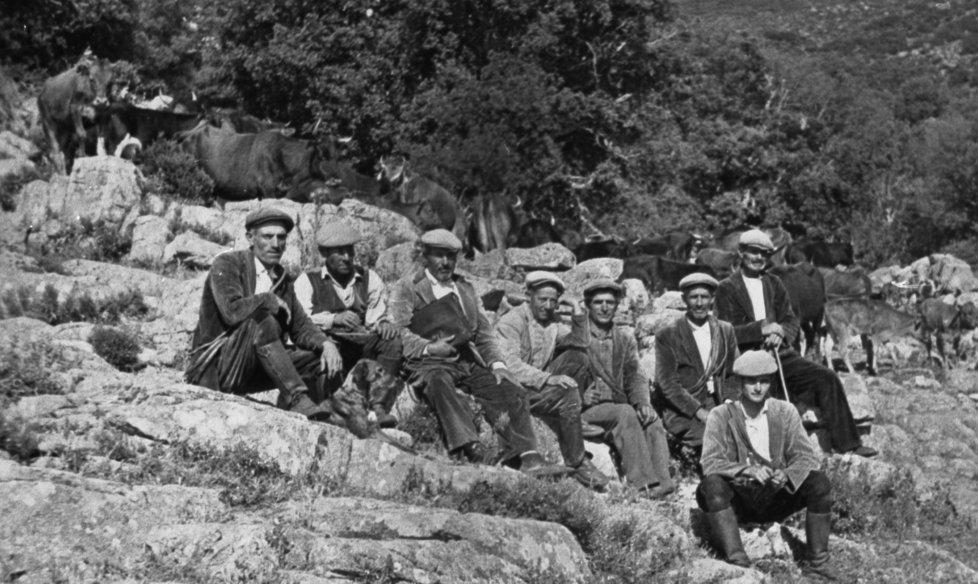 Urzulei alla scoperta degli animali nuragici del Supramonte 