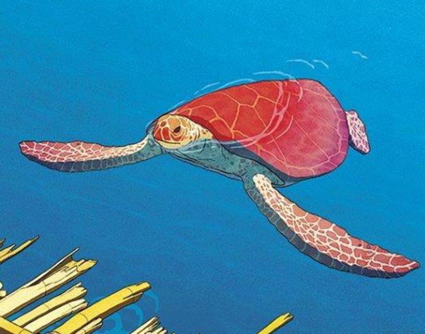 Animazione da Oscar con “La tartaruga rossa” 
