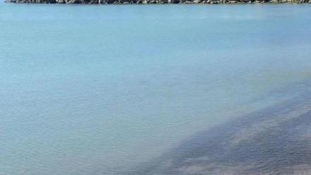 I resti dello scafo di una barca affiorano lungo la battigia lungo la spiaggia della Bucaccia