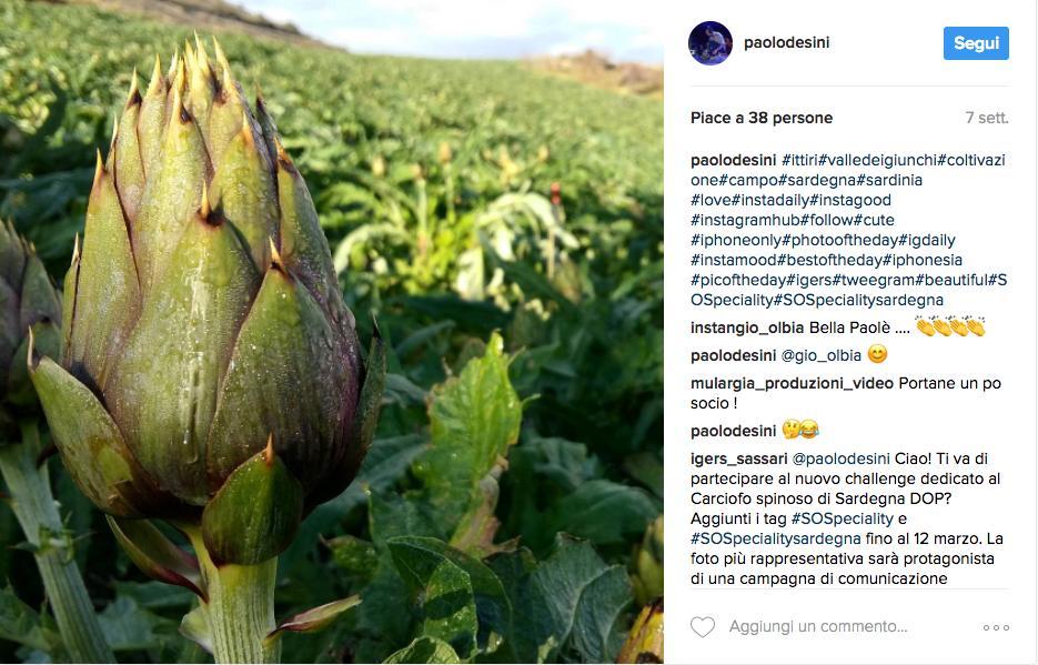 Carciofo spinoso sardo, i vincitori del contest Instagram 