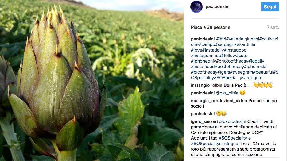 Carciofo spinoso sardo, i vincitori del contest Instagram 