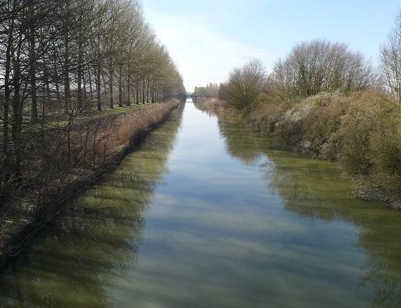 Primavera in fiume pedalando al sole alla foce del Panaro 