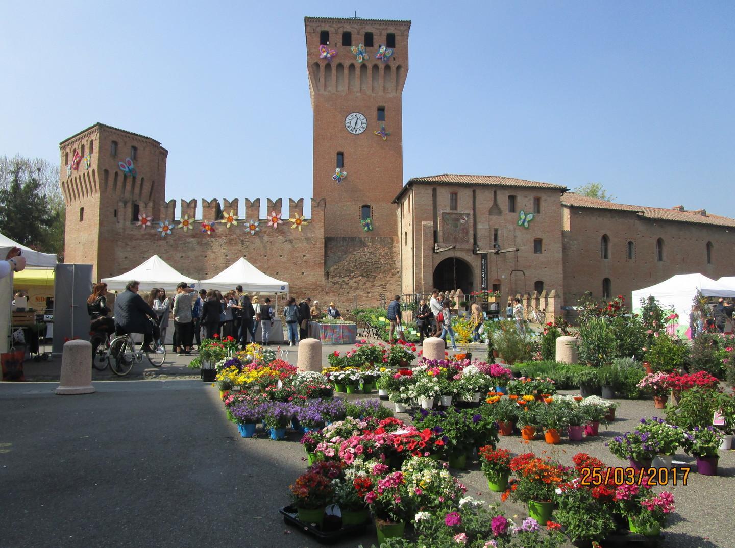 Un bilancio positivo per il “Castello in fiore”