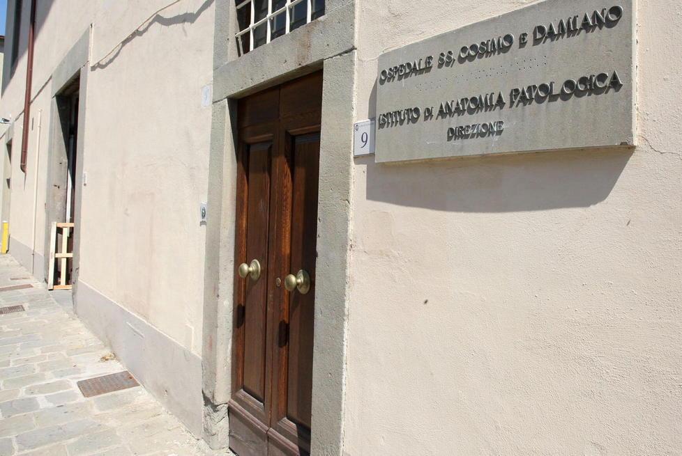 Nuovi assunti ad Anatomia patologica