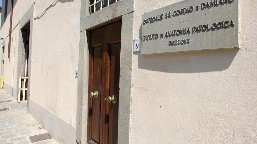 Nuovi assunti ad Anatomia patologica