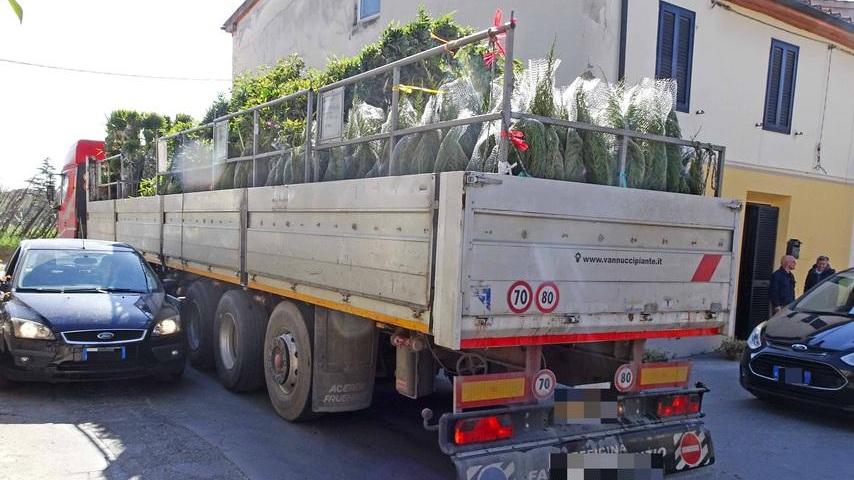 A Piuvica con i tir sulla soglia di casa
