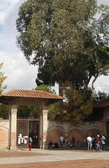 Prove statiche sulla scuola: 4 classi costrette al trasloco 