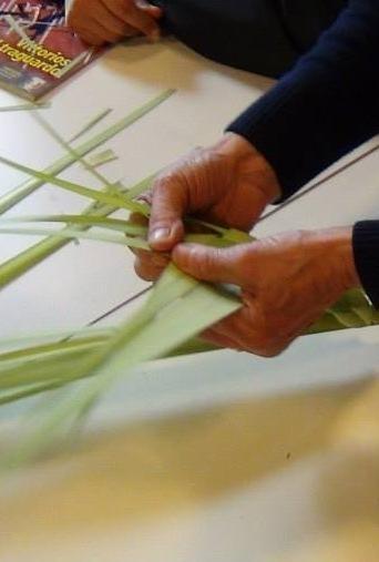 Posada, laboratorio del Ceas sull’intreccio delle palme 