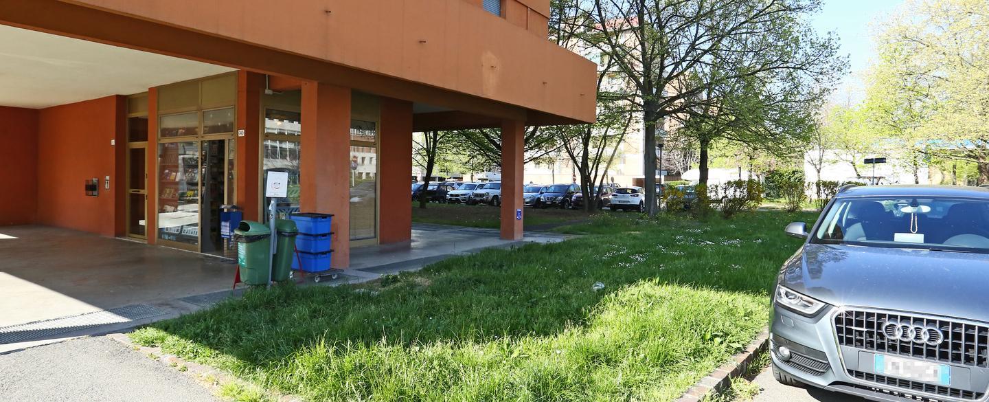 Strada Formigina, pericolo topi «È ora di disinfestare le aiuole»
