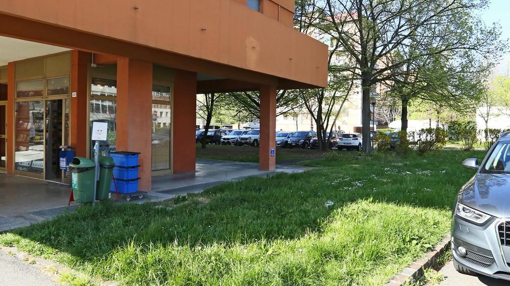 Strada Formigina, pericolo topi «È ora di disinfestare le aiuole»
