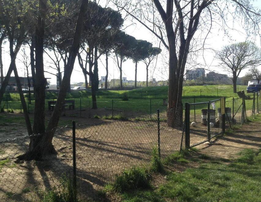 Due cani avvelenati ai giardini pubblici 