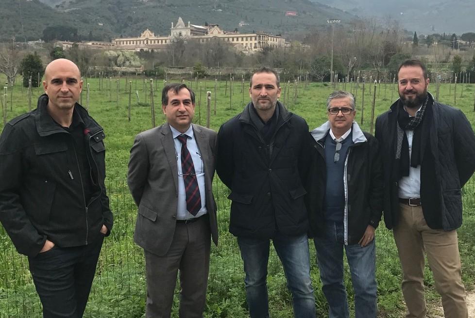 Rete elettrica, previsti 40mila euro di interventi a Calci