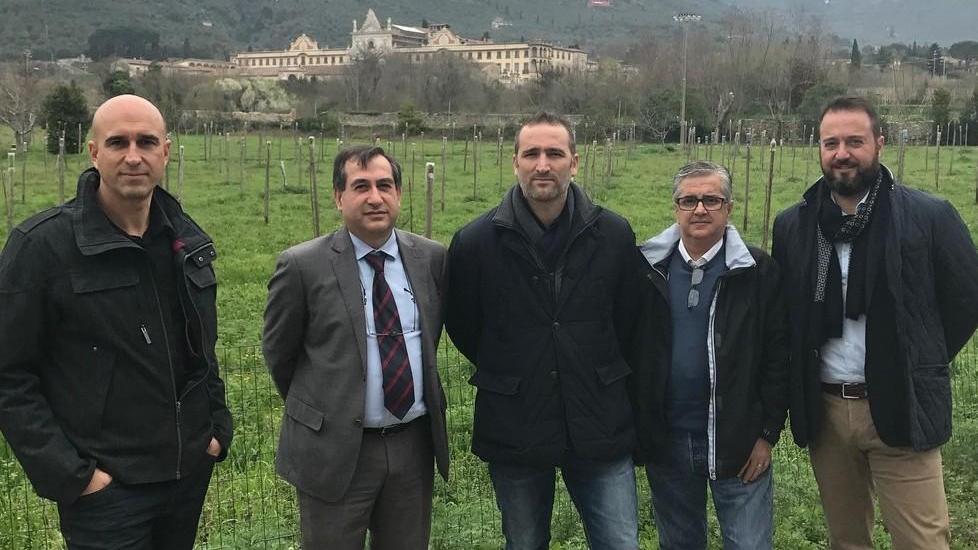 Rete elettrica, previsti 40mila euro di interventi a Calci