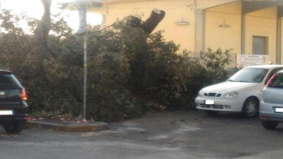 «Divieti di sosta tardivi» Disagi per gli automobilisti