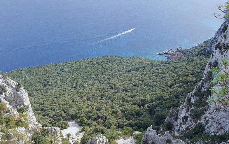 Ultra Trail Supramonte: volontari al lavoro 