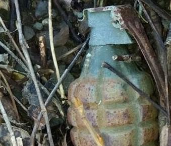 Allerta per la bomba nel bosco Ma c’è soltanto l’involucro