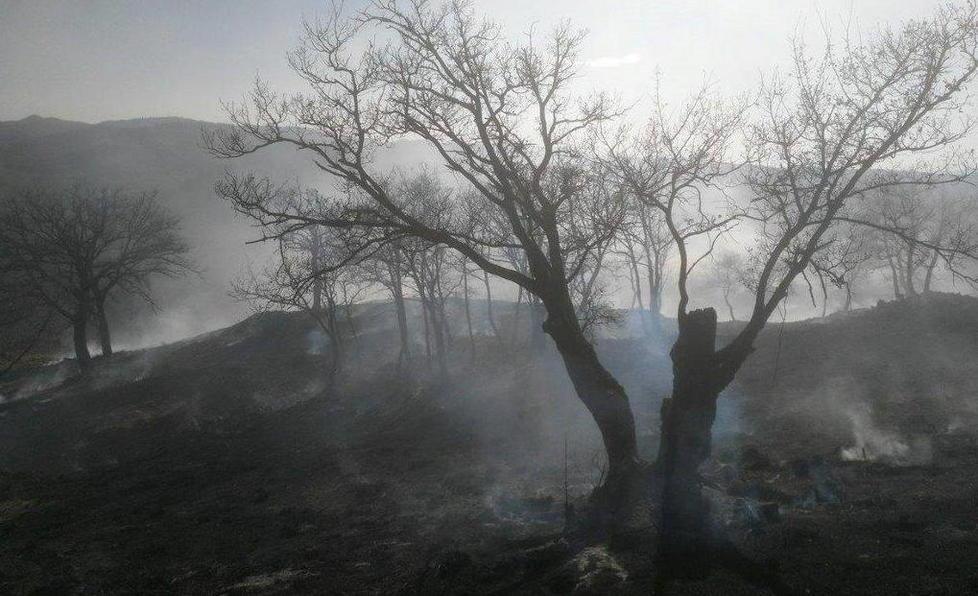 Fiamme a Pian di Rocca e a Seggiano 