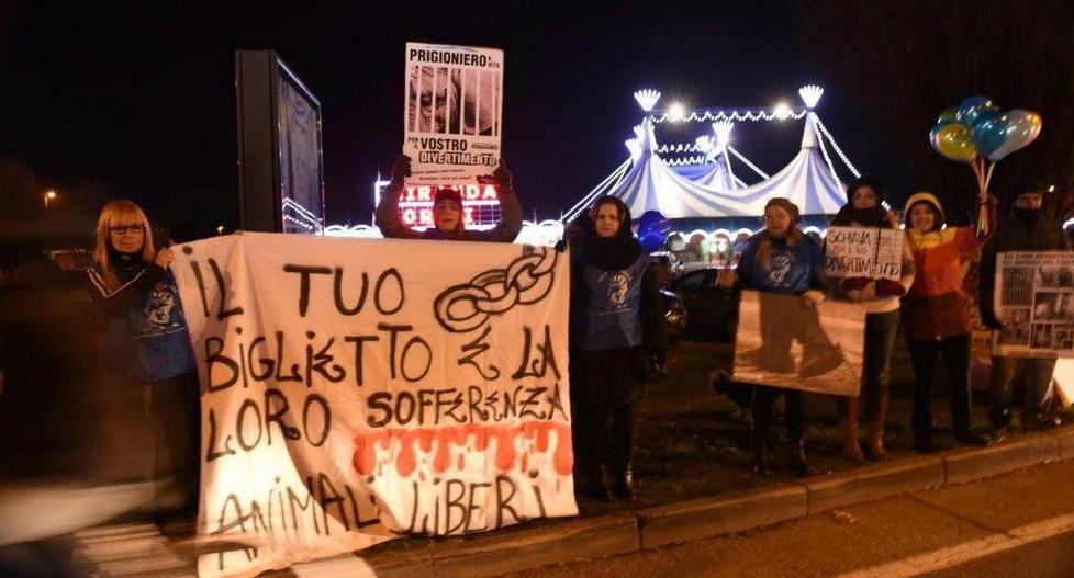 Arriva il circo con lo zoo e scatta la polemica 