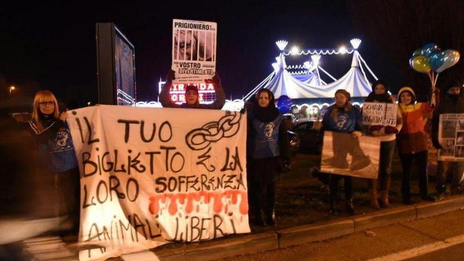 Arriva il circo con lo zoo e scatta la polemica