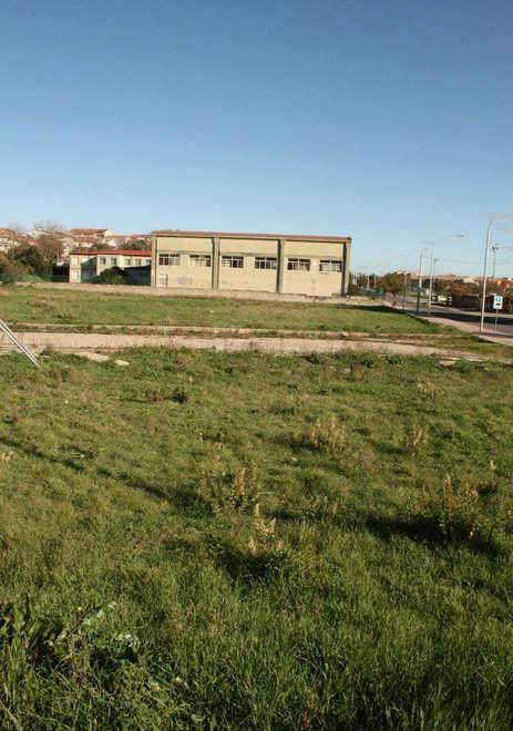 Cani al guinzaglio: linea dura e multe per i trasgressori 