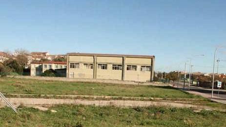 Cani al guinzaglio: linea dura e multe per i trasgressori