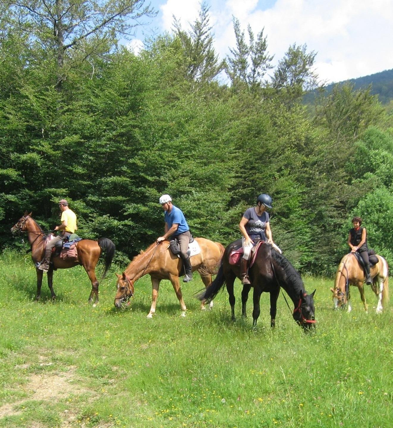 Da Sestola a Montecreto un trekking a cavallo tra paesaggio e memoria 