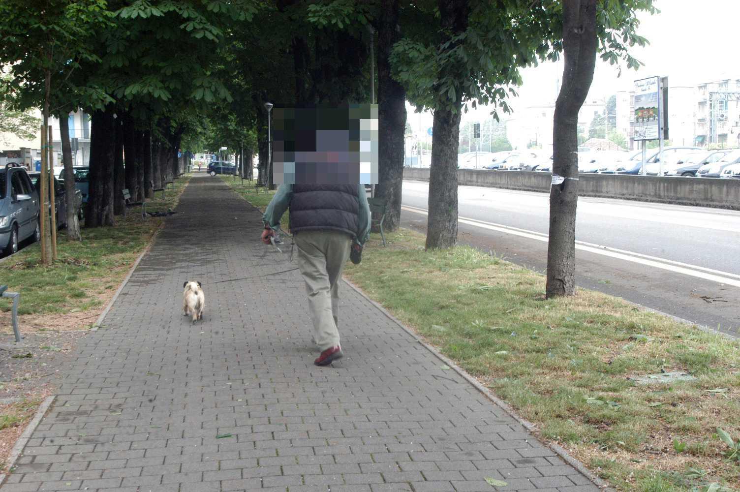 Reggio Emilia, rapinatore ai domiciliari ma con licenza di portare a spasso i cani 
