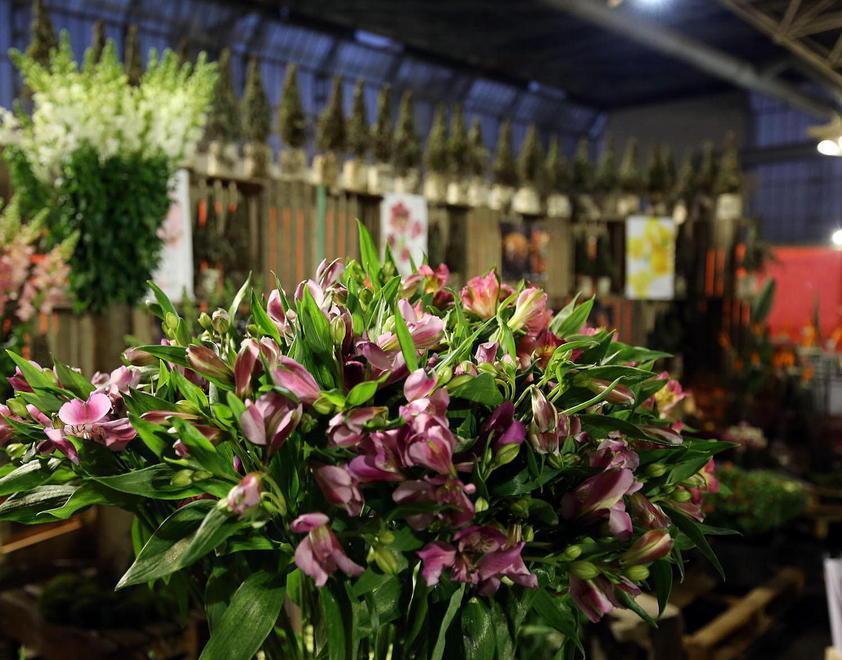 Pronto il piano di rilancio del mercato dei fiori 