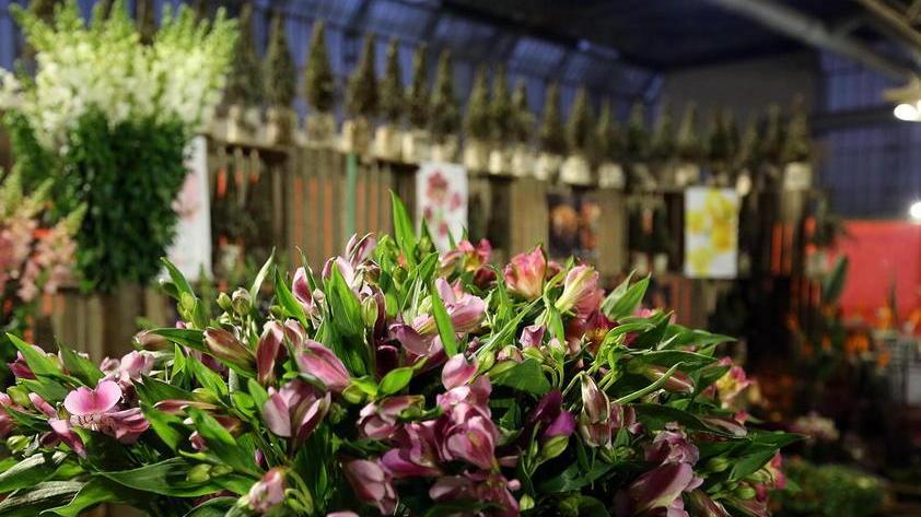 Pronto il piano di rilancio del mercato dei fiori
