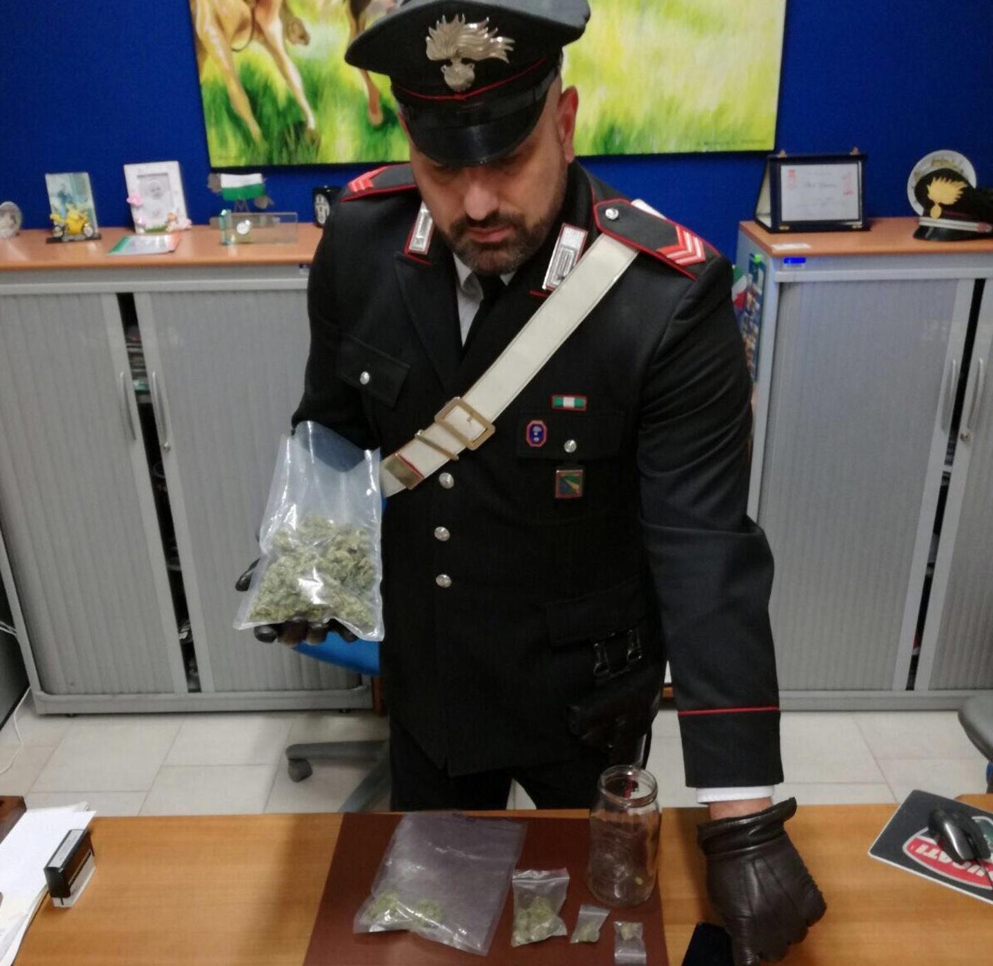 Arrestato a Novi con 300 grammi di marijuana