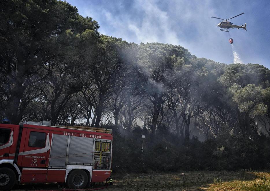Incubo incendi: in fumo 11 ettari di pineta 