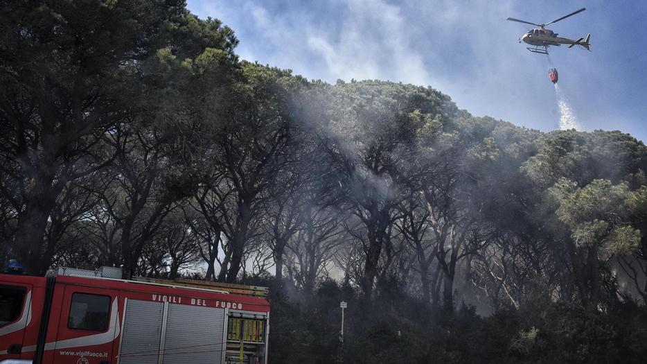 Incubo incendi: in fumo 11 ettari di pineta