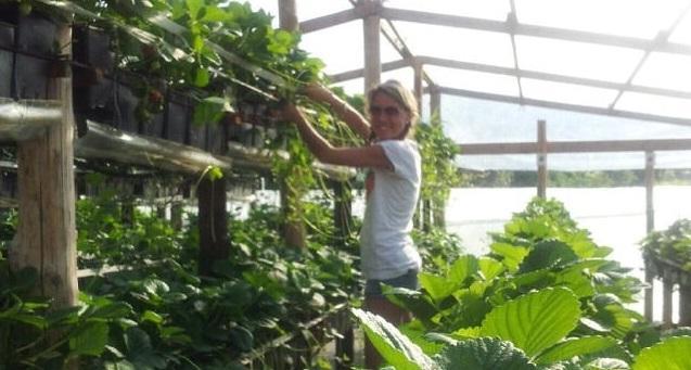 Fragole, mele, merende e moda: la sfida (vinta) di Benedetta 