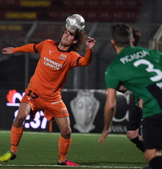 Luperini in azione 